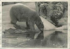 1976 Foto stampa palla di neve