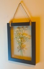Arte floreale pressata nuova