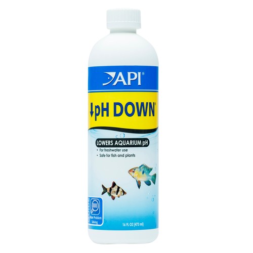 Api down - ph,