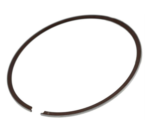 Segmento fascia elastica