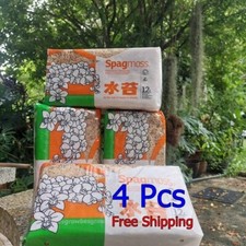 X4 Pianta di Orchidea Nursery