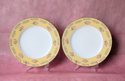 Tiffany set 2 piatti - &,