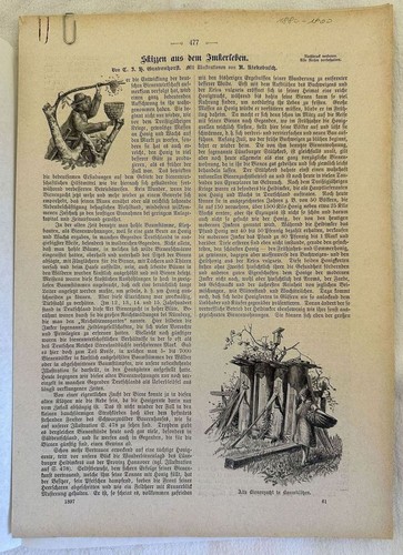 Skizzen aus dem imkerseben - skizzen,