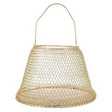  Cartoni Uova Contenitori X