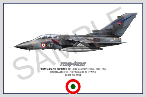Panavia tornado squadron print - tornado,