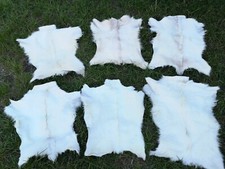 Pelli di capra pelliccia di capra no odore ottima concia NATURA AFFARE