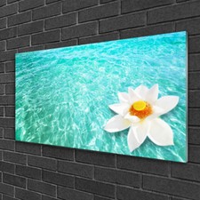Glass print wall art - glass, 100x50