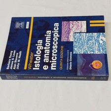 (Young Lowe Stevens) Wheather