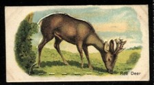 Tobacco Card, Imperial Canada
