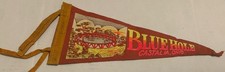 Pennant vintage Blue Hole