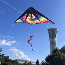 Aquilone Delta Colorato per