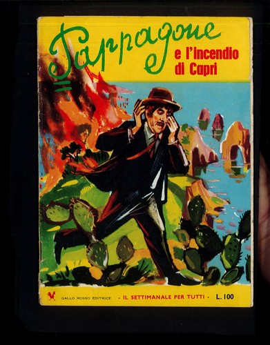 Pappagone incendio a capri - l'incendio,