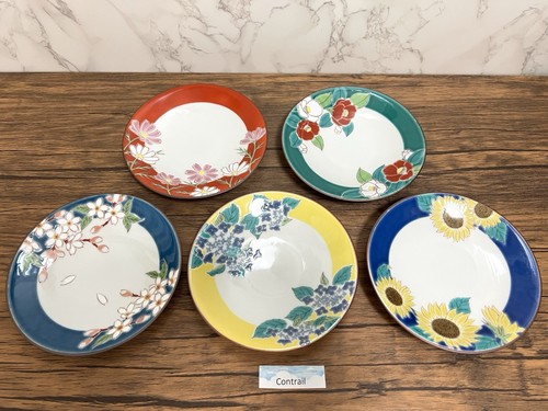 Set piatti porcellana - 5,