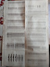 1932 Regia Marina Grande