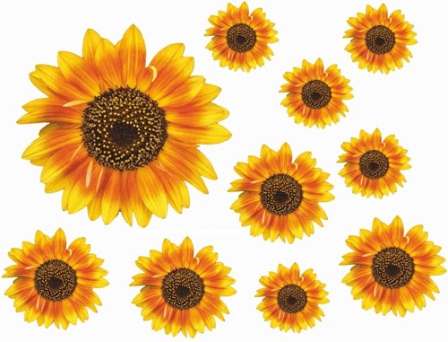 Decalcomanie girasole adesivi - decalcomanie,