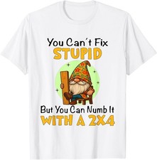 You Can't Fix Stupid But You