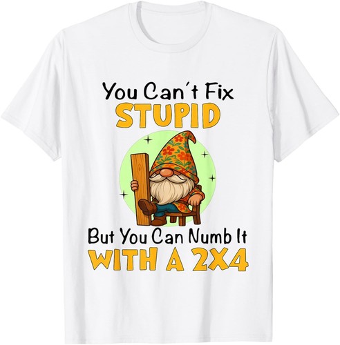 Non puoi aggiustare - , stupido