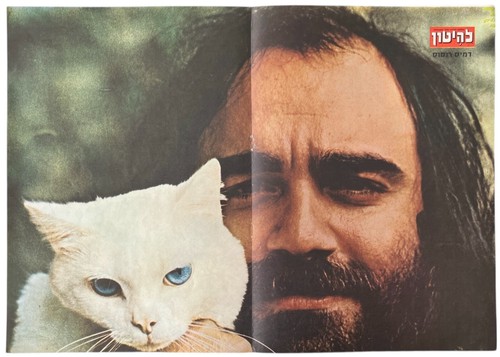 Poster demis roussos - demis,