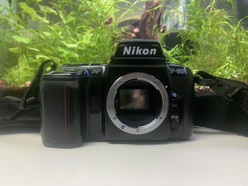 Nikon 601 film camera - af,