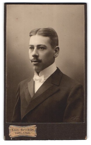 Fotografie karl nyström - fotografie,