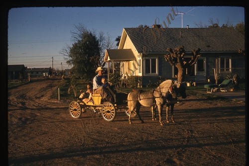 Carrozza cavalcata cavallo