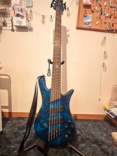 Spector dimension basso - spector,