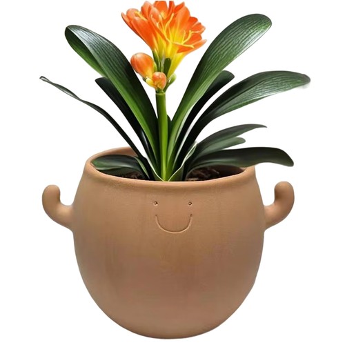 Vaso per piante ceramica - piante, ceramica,