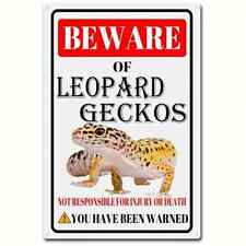 NOVITÀ: ATTENZIONE AL GECO