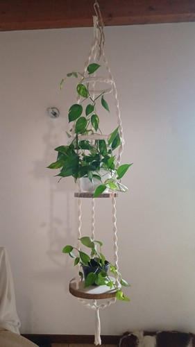 Porta vasi decorativo sospeso