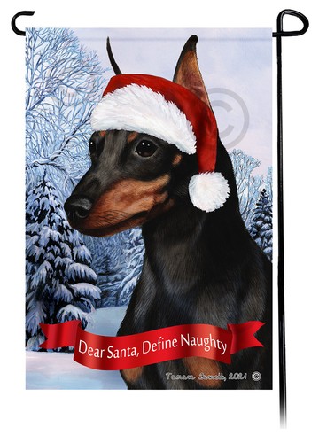 Miniatura pinscher caro babbo - pinscher,