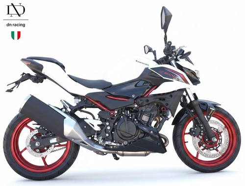 Portatarga evo kawasaki - , x