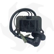 Bobina accensione ad