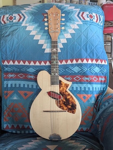 Nuovo mandolino acustico - nuovo,