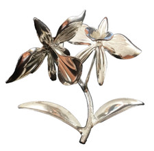 Orchidee d'Argento 800