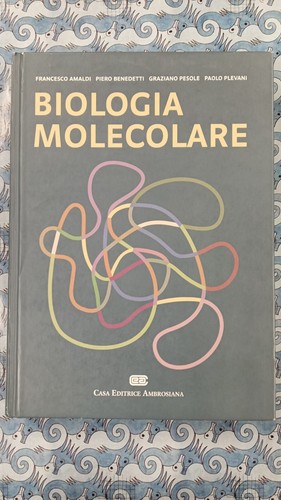 Amaldi biologia molecolare - biologia, c
