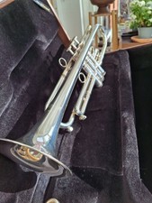 Carol tromba professionale - carol,