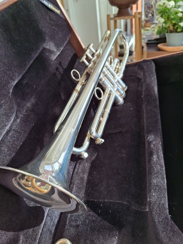 Carol tromba professionale - carol,