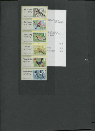 Birds major error ncr - major,
