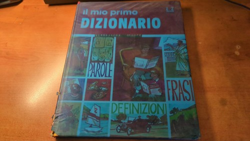 Mio primo dizionario libro - il,