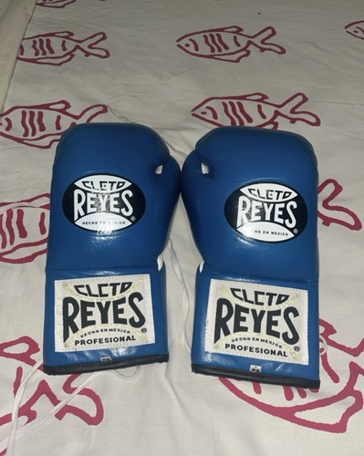 Guantoni boxe - guantoni,