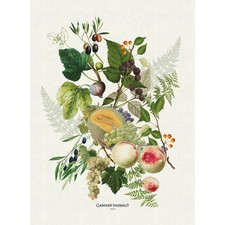 Garnier Thiebaut / Abondance