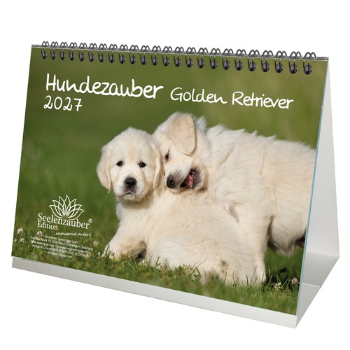 Magia per cani golden - cani,