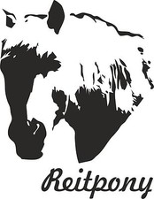 Adesivo auto REITPONY anche