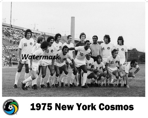 Quadro squadra nasl new york - quadro,