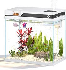 Acquario piccolo completo - piccolo,