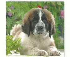 PUZZLE RAVENSBURGER 500 PZ