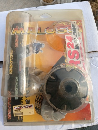 Variatore malossi per - variatore,