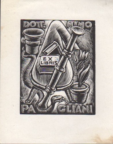 Libris dott nino - nino, pagliani.