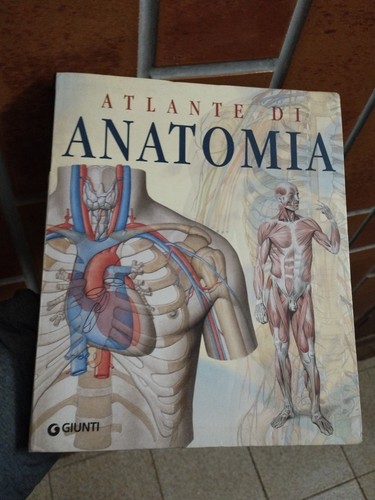 Atlante anatomia - di,