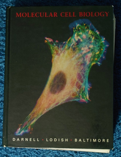 Molecular cell biology - cell,